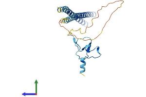 AlphaFold protein structure predicition of Human Recombinant ING5 Protein, UniprotID Q8WYH8