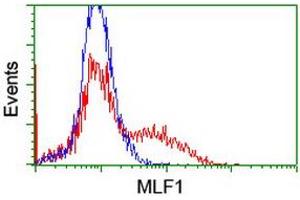 Flow Cytometry (FACS) image for anti-Myeloid Leukemia Factor 1 (MLF1) antibody (ABIN1499494) (MLF1 抗体)
