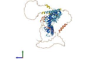 Protein Structure (PS) image for Cyclic Nucleotide Gated Channel beta 3 (CNGB3) (AA 1-694) protein (His tag) (ABIN7565107)
