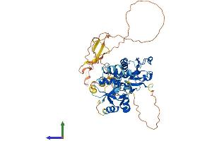 Protein Structure (PS) image for Dual Specificity Phosphatase 10 (DUSP10) (AA 1-482) protein (His tag) (ABIN7547194)
