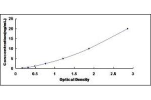 Typical standard curve (SUZ12 ELISA 试剂盒)