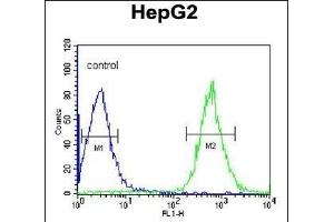 Flow Cytometry (FACS) image for anti-Cyclin-Dependent Kinase 14 (CDK14) (AA 67-96), (N-Term) antibody (ABIN390748)
