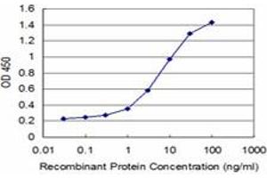 Detection limit for recombinant GST tagged TP53RK is approximately 0. (TP53RK 抗体  (AA 154-253))