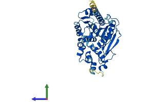 AlphaFold protein structure predicition of Human Recombinant ABHD2 Protein, UniprotID P08910