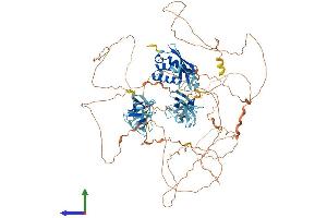 AlphaFold protein structure predicition of Mouse Recombinant Sh3pxd2b Protein, UniprotID A2AAY5