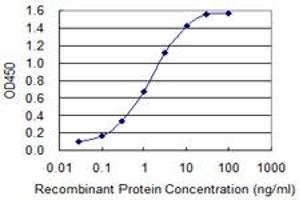 ELISA image for anti-Melanoma Antigen Family A, 12 (MAGEA12) (AA 70-168) antibody (ABIN517711)