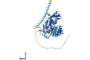 AlphaFold protein structure predicition of Mouse Recombinant Recql Protein, UniprotID Q9Z129