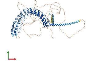 AlphaFold protein structure predicition of Mouse Recombinant Invs Protein, UniprotID O89019