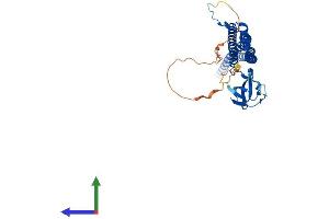 Protein Structure (PS) image for Proline-serine-threonine Phosphatase Interacting Protein 1 (PSTPIP1) (AA 1-416) protein (His tag) (ABIN7555038)