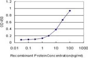 Detection limit for recombinant GST tagged NHLH2 is approximately 1ng/ml as a capture antibody. (NHLH2 抗体  (AA 36-135))