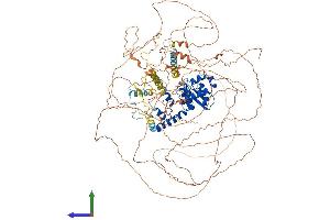 Protein Structure (PS) image for OTU Domain Containing 4 (OTUD4) (AA 1-1107) protein (His tag) (ABIN7562050)