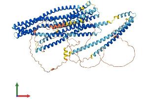 Protein Structure (PS) image for Ellis Van Creveld Syndrome (EVC) (AA 1-1005) protein (His tag) (ABIN7563460)