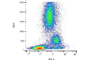 Flow cytometry analysis (surface staining) of CD39 in human peripheral blood with anti-CD39 (TU66) purified, GAM-APC. (CD39 抗体)