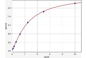 Typical standard curve (CX3CR1 ELISA 试剂盒)