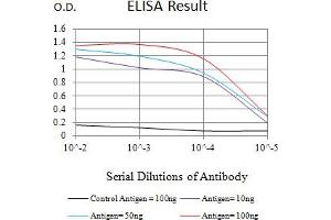 Black line: Control Antigen (100 ng),Purple line: Antigen (10 ng), Blue line: Antigen (50 ng), Red line:Antigen (100 ng) (FAP 抗体  (AA 26-264))