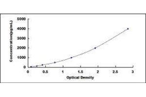 Cysteine-Rich, Angiogenic Inducer, 61 (CYR61) ELISA Kit