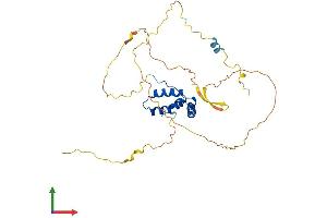 Protein Structure (PS) image for SRY (Sex Determining Region Y)-Box 12 (SOX12) (AA 1-315) protein (His tag) (ABIN7546296)