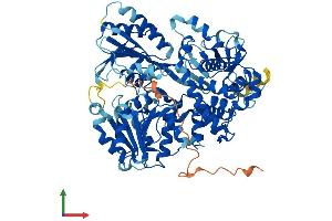 AlphaFold protein structure predicition of Human Recombinant DHX35 Protein, UniprotID Q9H5Z1 (DHX35 Protein (AA 1-703) (His tag))
