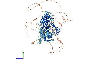 AlphaFold protein structure predicition of Human Recombinant INPP5D Protein, UniprotID Q92835 (INPP5D Protein (AA 1-1189) (His tag))