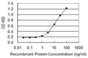 Detection limit for recombinant GST tagged SLC26A3 is 0. (SLC26A3 抗体  (AA 503-600))