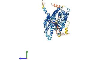 Protein Structure (PS) image for Solute Carrier Family 40 (Iron-Regulated Transporter), Member 1 (SLC40A1) (AA 1-571) protein (His tag) (ABIN7551653)