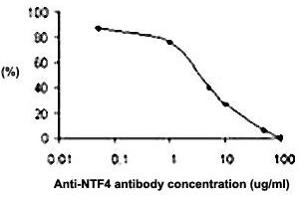 The effect of NTF4 polyclonal antibody  on the neurite outgrowth of embryonic dorsal root ganglion promoted by NTF4. (Neurotrophin 4 抗体)