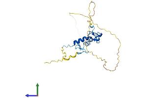 Protein Structure (PS) image for Zinc Finger, AN1-Type Domain 3 (ZFAND3) (AA 1-227) protein (His tag) (ABIN7545437)