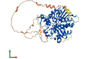 Protein Structure (PS) image for Tyrosyl-DNA Phosphodiesterase 1 (TDP1) (AA 1-608) protein (His tag) (ABIN7555891)