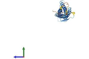 Protein Structure (PS) image for Claudin 9 (CLDN9) (AA 1-217) protein (His tag) (ABIN7556356)