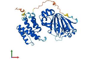 AlphaFold protein structure predicition of Mouse Recombinant Kdm8 Protein, UniprotID Q9CXT6