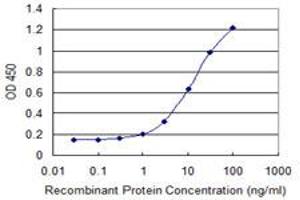 Detection limit for recombinant GST tagged CTNNB1 is 0. (CTNNB1 抗体  (AA 682-781))