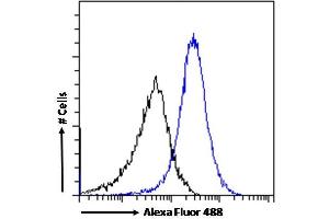 Flow Cytometry (FACS) image for anti-Cancer/testis Antigen 1B (CTAG1B) (Internal Region) antibody (ABIN570720)