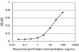 Detection limit for recombinant GST tagged PRDM1 is approximately 3ng/ml as a capture antibody. (PRDM1 抗体  (AA 1-109))