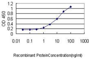 Detection limit for recombinant GST tagged CRSP9 is approximately 0. (MED7 抗体  (AA 1-233))