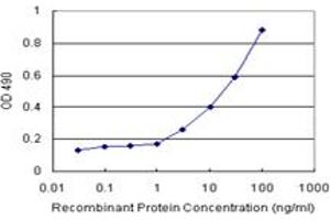 Sandwich ELISA detection sensitivity ranging from 3 ng/mL to 100 ng/mL. (GALT (人) Matched Antibody Pair)