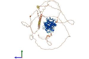 Protein Structure (PS) image for SUMO1/sentrin Specific Peptidase 5 (SENP5) (AA 1-749) protein (His tag) (ABIN7557967)