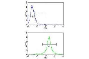 Flow Cytometry (FACS) image for anti-Mast/stem Cell Growth Factor Receptor (KIT) (AA 106-135) antibody (ABIN3031704)