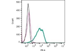 Cell surface detection of GPR31 by indirect flow cytometry in live intact mouse P815 mast cell line: + goat-anti-rabbit-PE. (GPR31 抗体  (Extracellular))