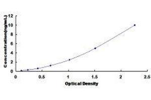 Typical standard curve (DDO ELISA 试剂盒)