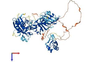 ESRP1 Protein (AA 1-681) (His tag)
