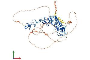 AlphaFold protein structure predicition of Mouse Recombinant Prickle3 Protein, UniprotID Q80VL3