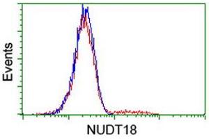 Image no. 2 for anti-Nudix (Nucleoside Diphosphate Linked Moiety X)-Type Motif 18 (NUDT18) antibody (ABIN1499858) (NUDT18 抗体)