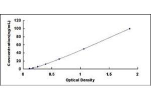 Typical standard curve (C4BPA ELISA 试剂盒)