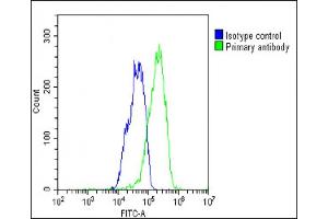 Overlay histogram showing HepG2 cells stained with (ABIN6244226 and ABIN6577745)(green line). (WDR82 抗体  (N-Term))