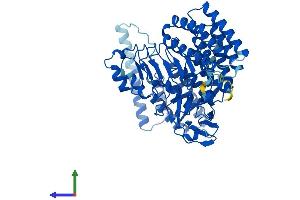 Protein Structure (PS) image for Rab Geranylgeranyltransferase, alpha Subunit (RABGGTA) (AA 1-567) protein (His tag) (ABIN7561509)