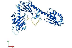 AlphaFold protein structure predicition of Human Recombinant BABAM2 Protein, UniprotID Q9NXR7 (BRE Protein (AA 1-383) (His tag))