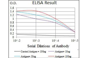 Red: Control Antigen (100ng) ; Purple: Antigen (10ng) ; Green: Antigen (50ng) ; Blue: Antigen (100ng). (CD33 抗体  (AA 15-237))