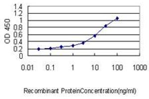 Detection limit for recombinant GST tagged TEX264 is approximately 0. (TEX264 抗体  (AA 1-313))
