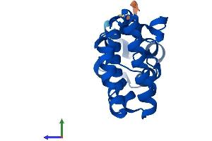 Protein Structure (PS) image for Ureidoimidazoline (2-Oxo-4-Hydroxy-4-Carboxy-5-) Decarboxylase (URAD) (AA 1-173) protein (His tag) (ABIN7545035)