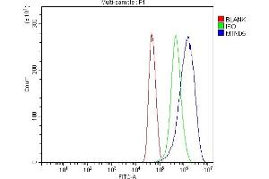 Flow Cytometry analysis of U251 cells using anti-MT-ND5 antibody (ABIN7600145).